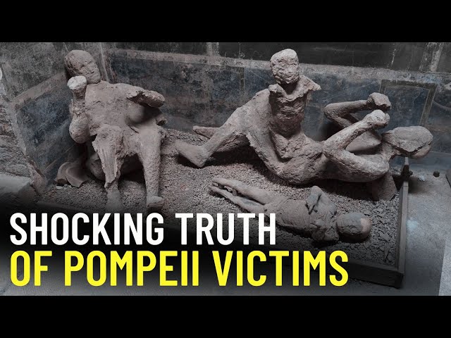 Video thumbnail for Ancient DNA Reveals the Shocking Truth of Pompeii Victims