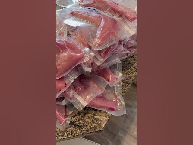 Video thumbnail for Great haul of Tuna from the Oregon Coast!