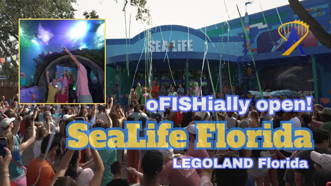 'Video thumbnail for SeaLife Florida Grand Opens at LEGOLAND Florida!'