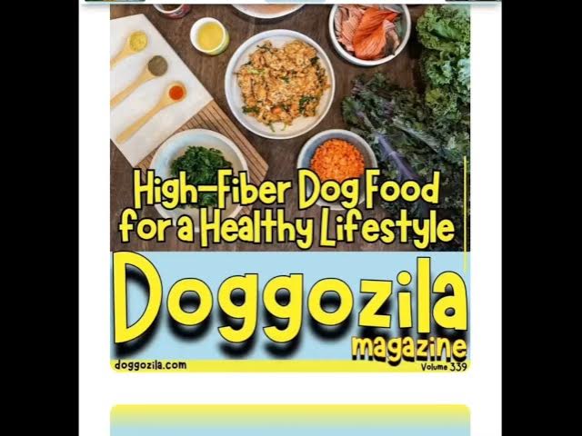 Video thumbnail for High-Fiber Dog Food Recipes for a Healthy Lifestyle by Doggozila Magazine