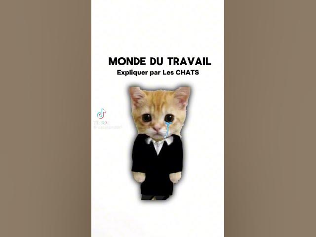 Video thumbnail for #speedsong #song #dance #music #spedup