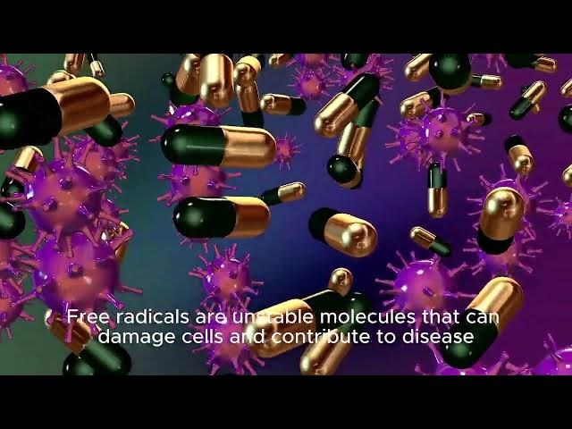 Video thumbnail for Oregano: Uses, Health Benefits & More