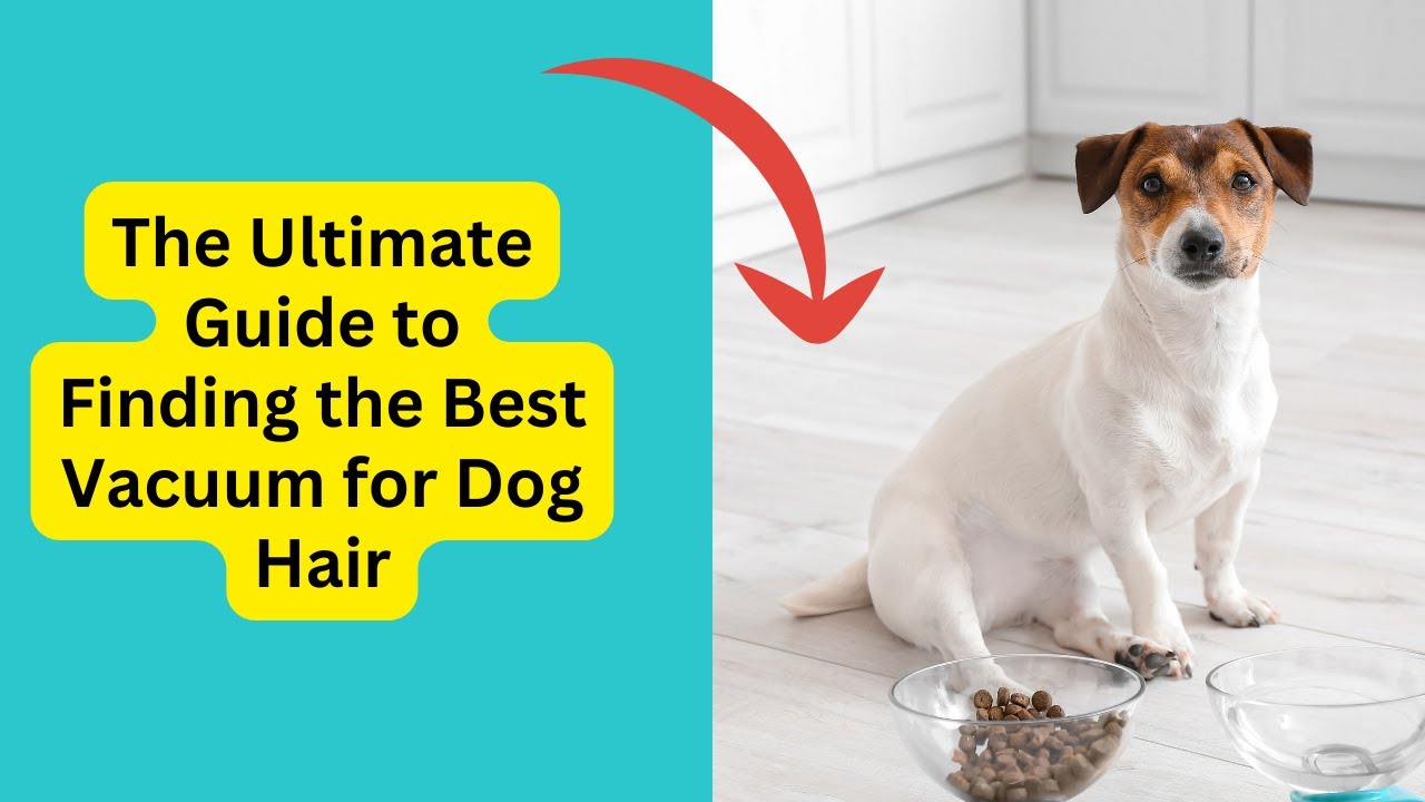 'Video thumbnail for The Ultimate Guide to Finding the Best Vacuum for Dog Hair'
