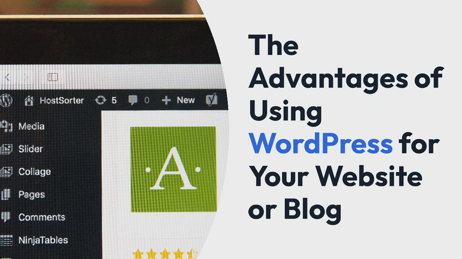 'Video thumbnail for Advantaged of wordpress using in your blog'