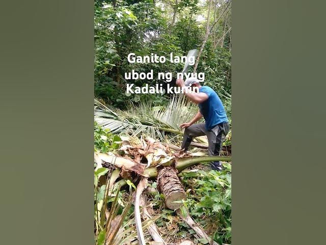 Video thumbnail for October 12, 2024