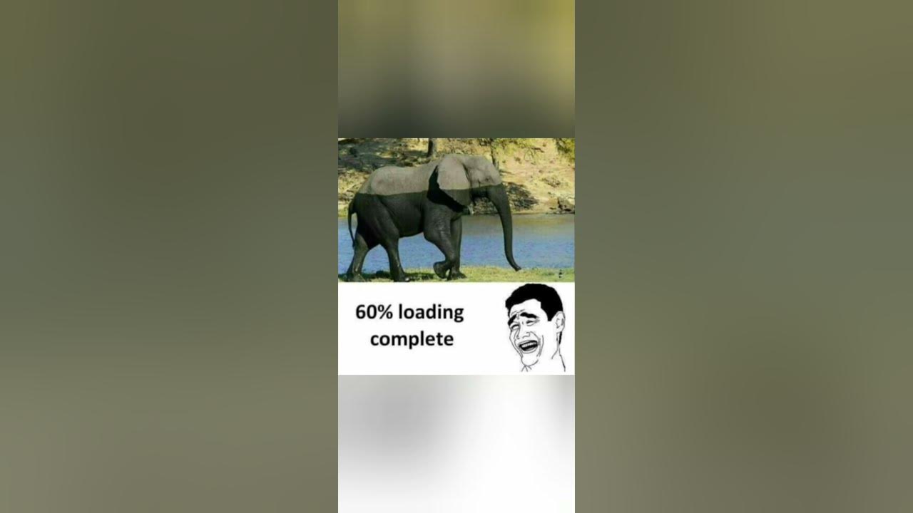 'Video thumbnail for Memes only Legends will find funny,op memes | Relatable memes | #120 #shorts #memes #anonymous #meme'