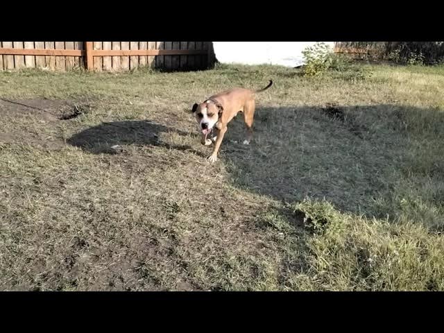 Video thumbnail for AKS