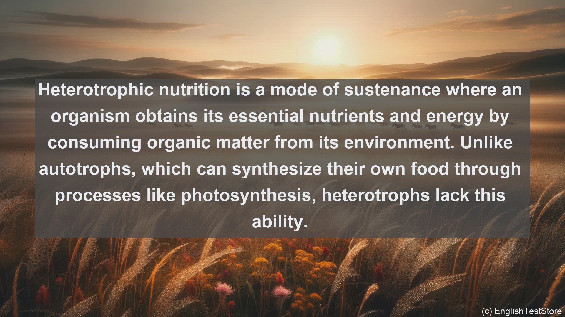 'Video thumbnail for Heterotrophic nutrition in science  definition and examples'