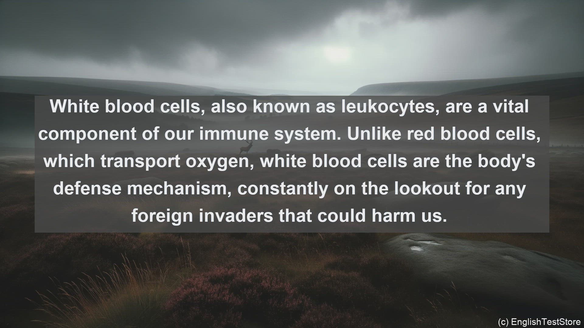 'Video thumbnail for White blood cell in science  definition and examples'
