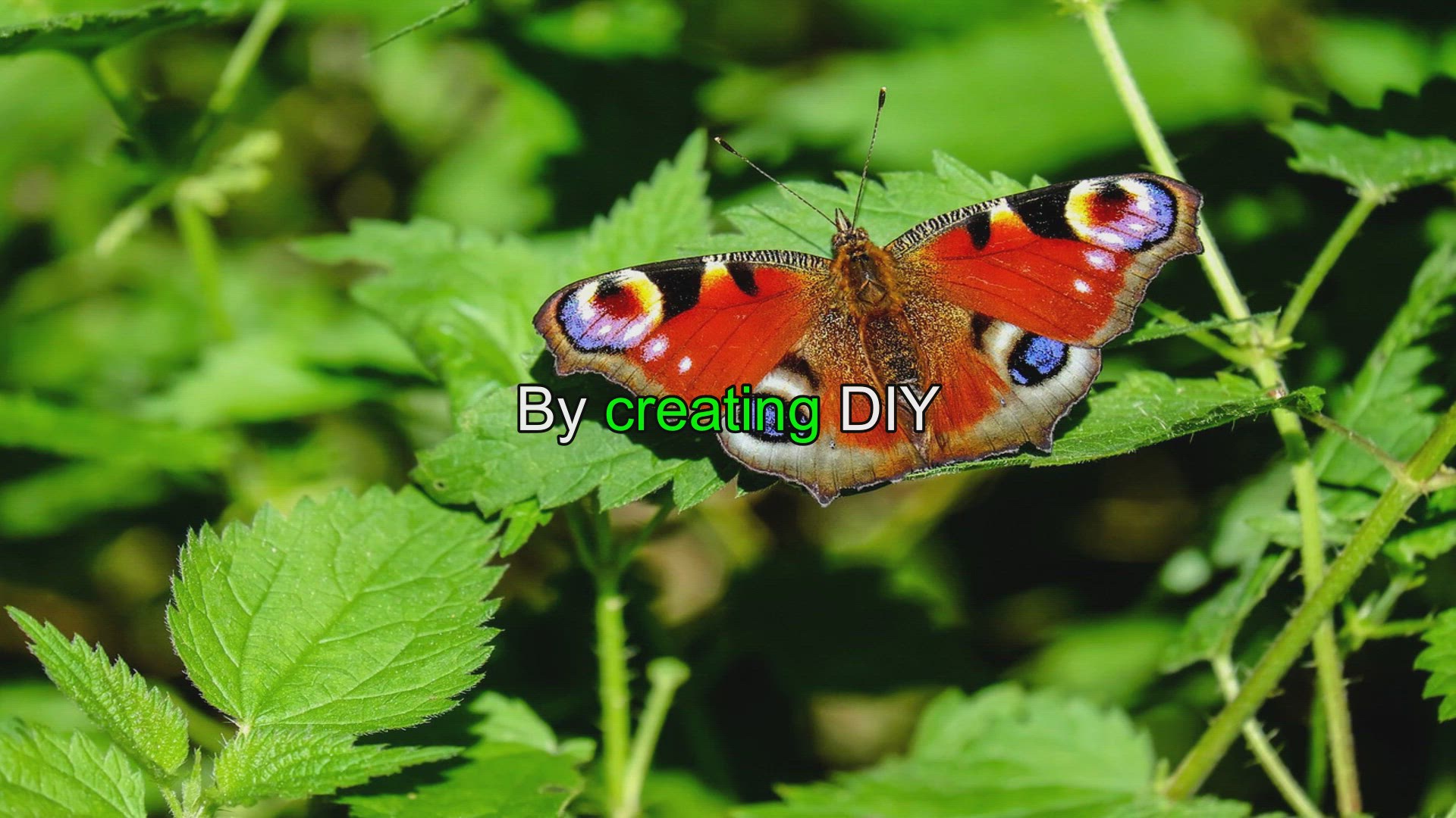 Butterfly Nets for Kids - 2 Green Nets - Learning Toys Homeschool