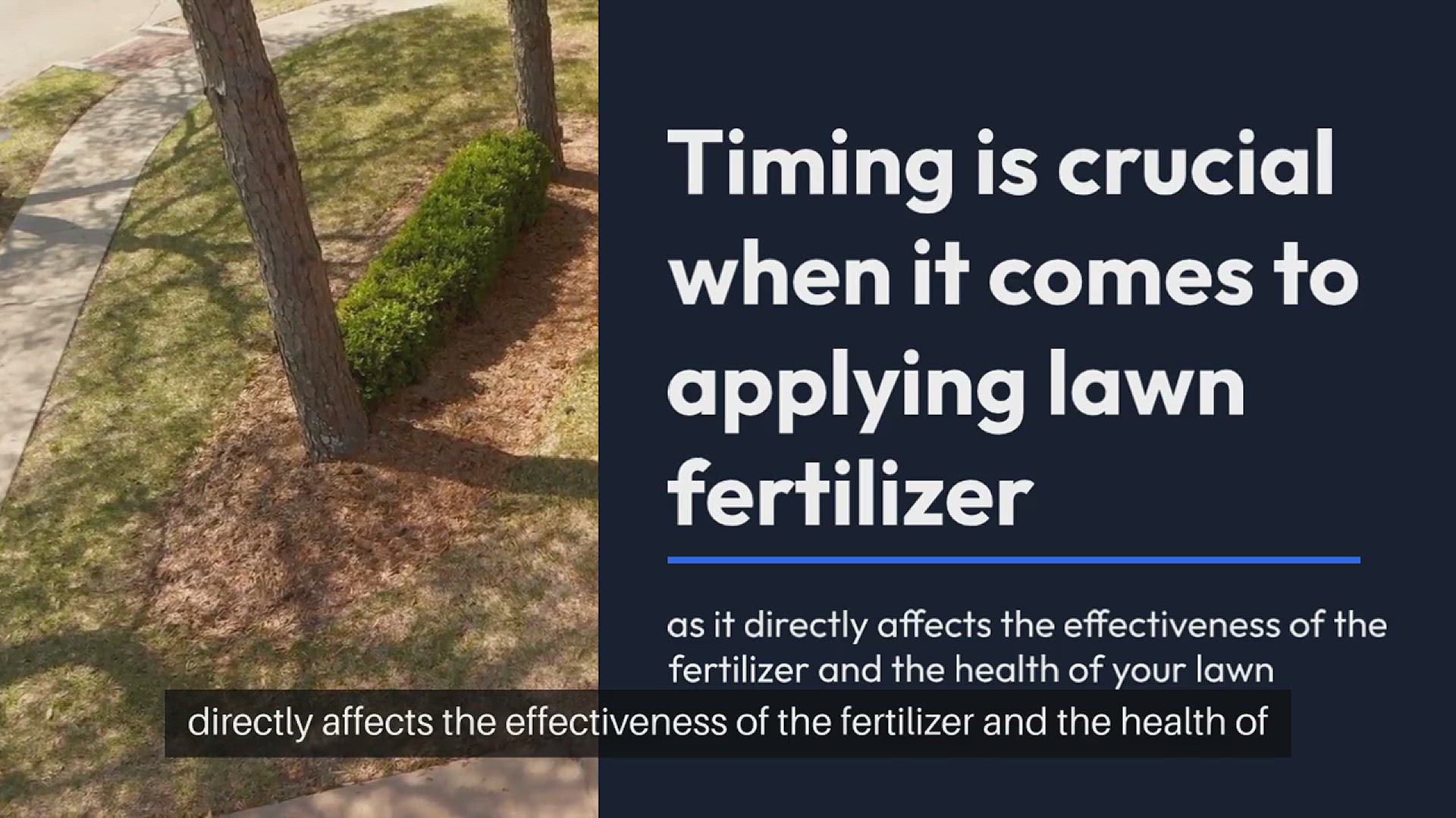'Video thumbnail for Lawn Fertilizer Application Timing'