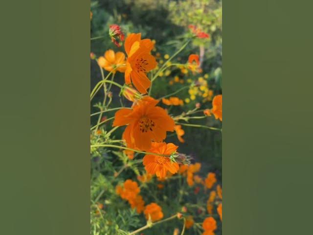 Video thumbnail for How ezoix.com become no 1 tech review website