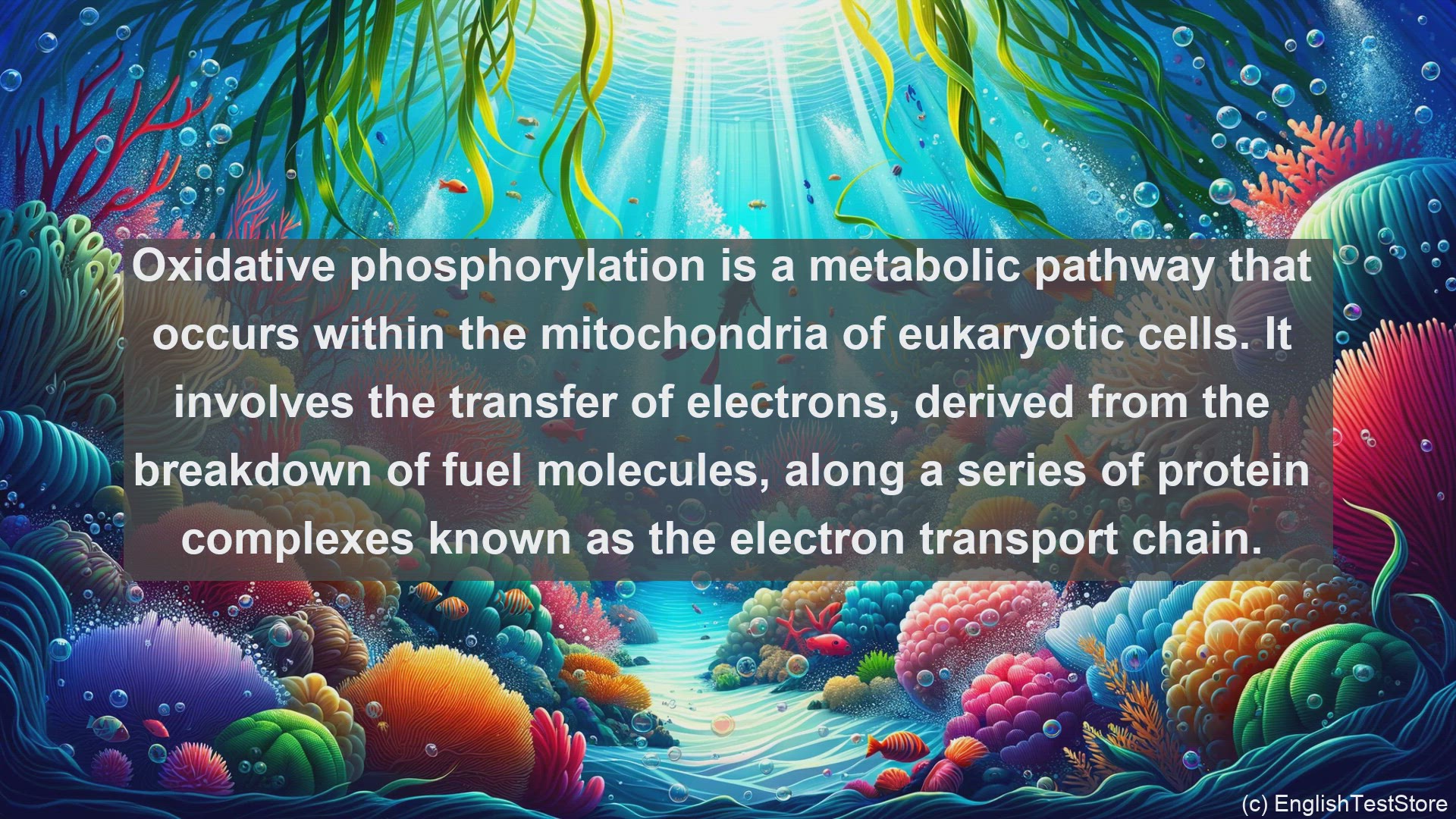 'Video thumbnail for Oxidative phosphorylation in science  definition and examples'