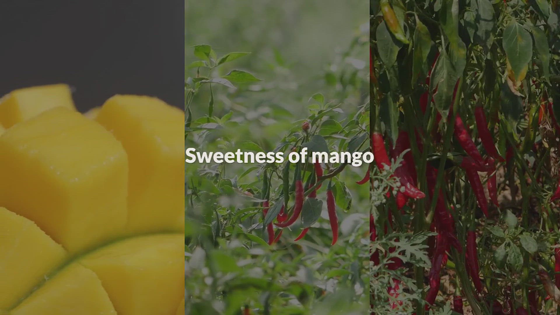 'Video thumbnail for Mango and Chili Beef Lettuce Wraps'