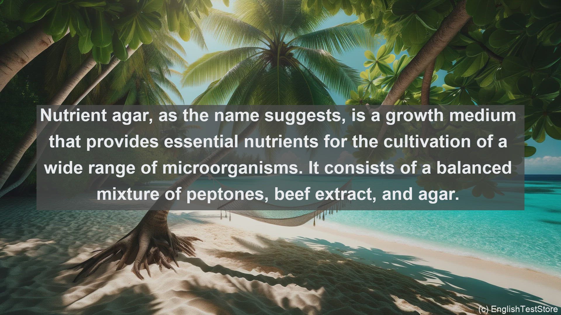 'Video thumbnail for Nutrient agar in science  definition and examples'