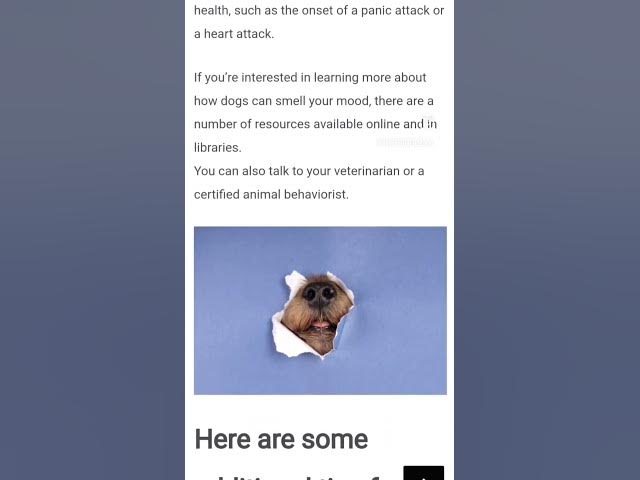 'Video thumbnail for Dogs can smell your mood'