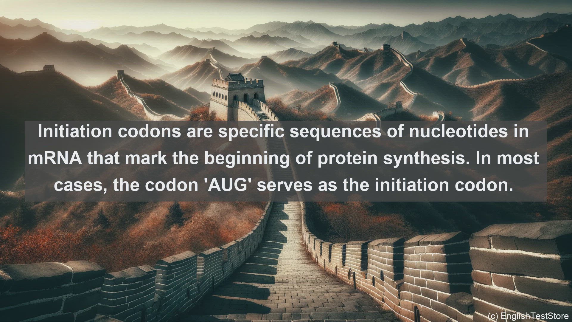 'Video thumbnail for Initiation codon in science  definition and examples'