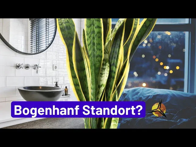 'Video thumbnail for Bogenhanf Standort: Schlafzimmer oder Badezimmer?'