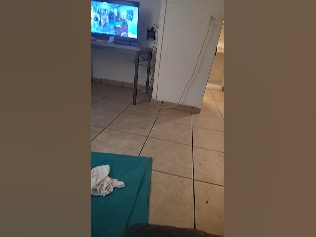 Video thumbnail for May 4, 2025