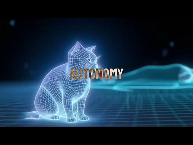 Video thumbnail for Ever notice your cat always sleeps at your feet, not beside your head?