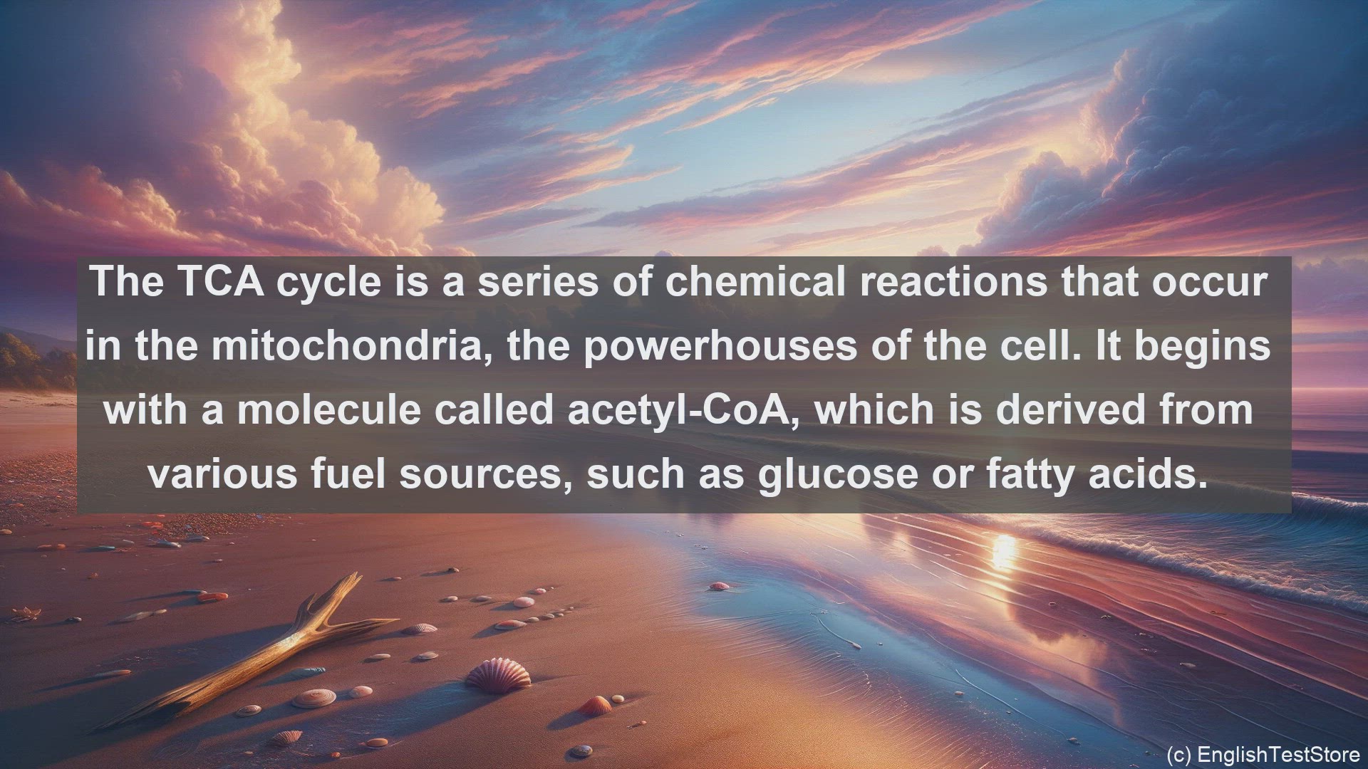 'Video thumbnail for Tca cycle in science  definition and examples'