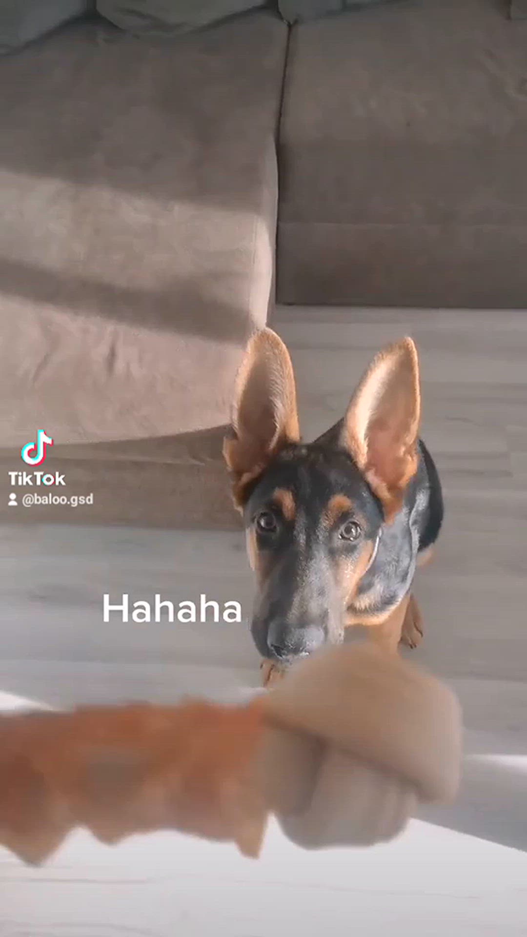 'Video thumbnail for Baloo-star.com'