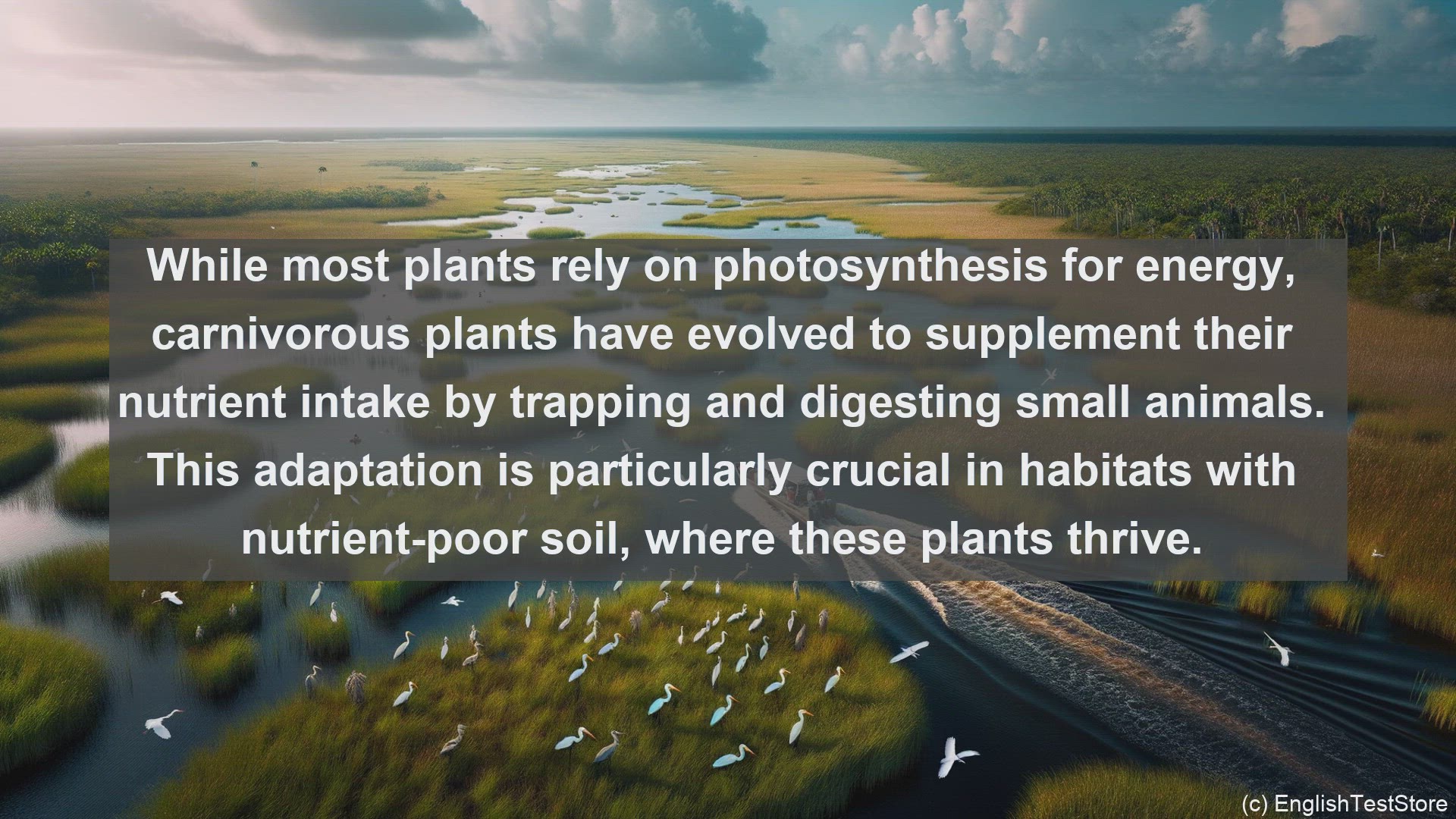 'Video thumbnail for Carnivorous plant in science  definition and examples'