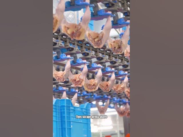 Video thumbnail for The DISGUSTING Truth About What's Really Inside Your Hot Dogs