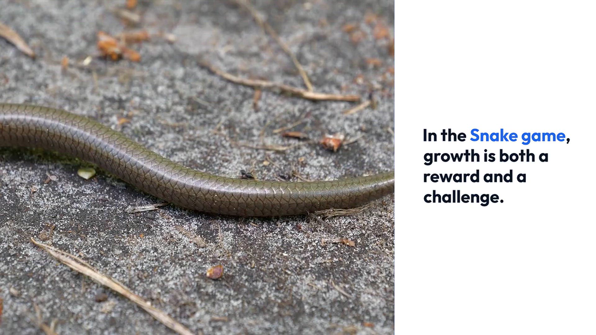 Video thumbnail for Mastering_Snake_Game_Growth
