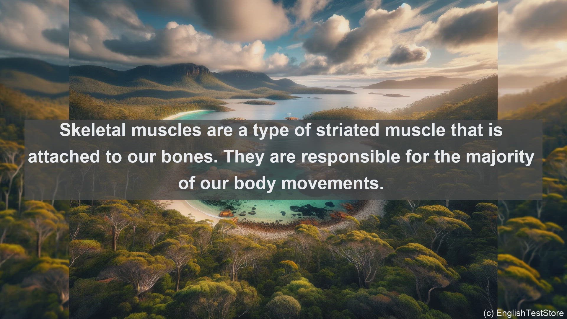 'Video thumbnail for Skeletal muscle in science  definition and examples'