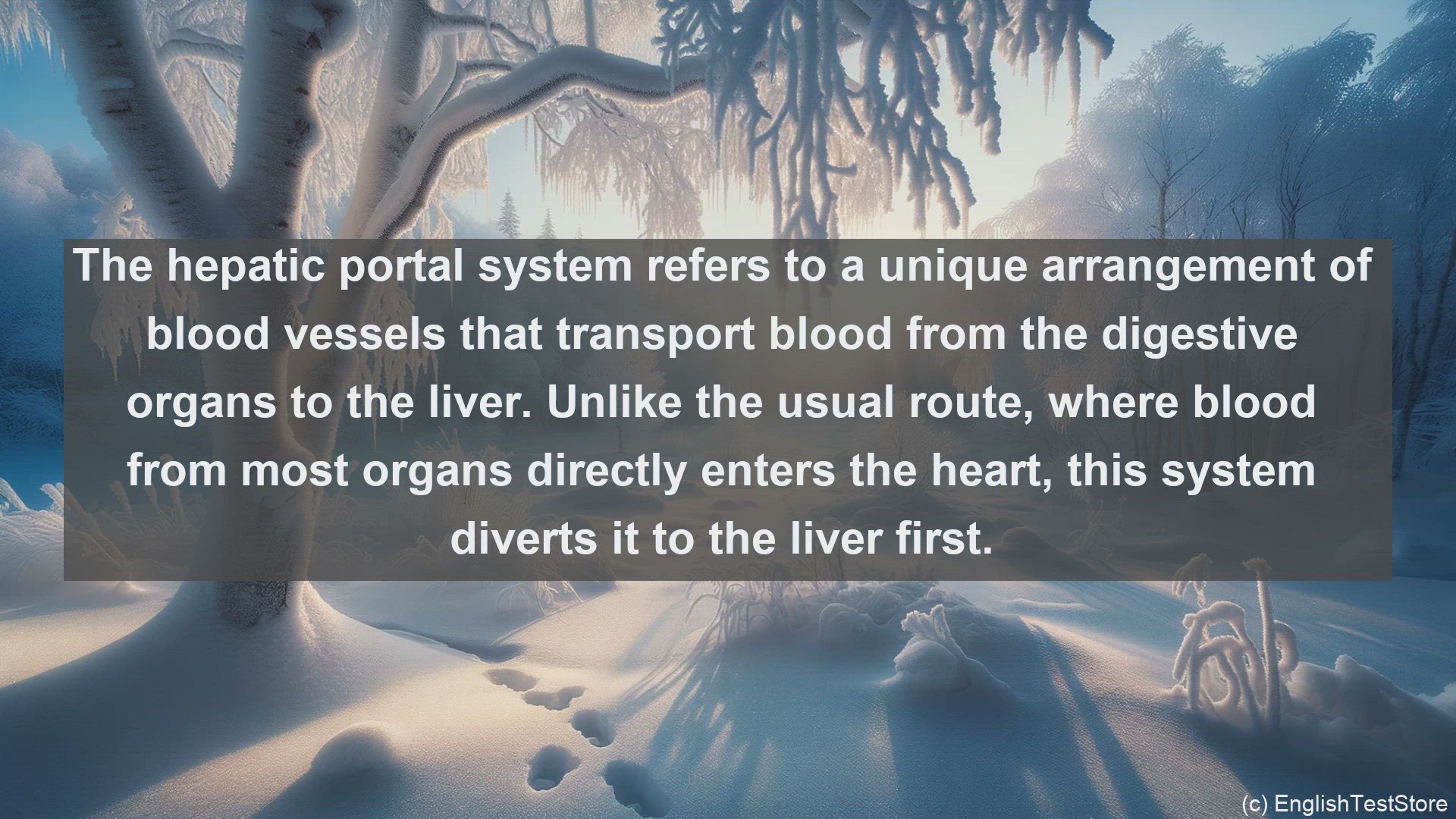 'Video thumbnail for Hepatic portal system in science  definition and examples'