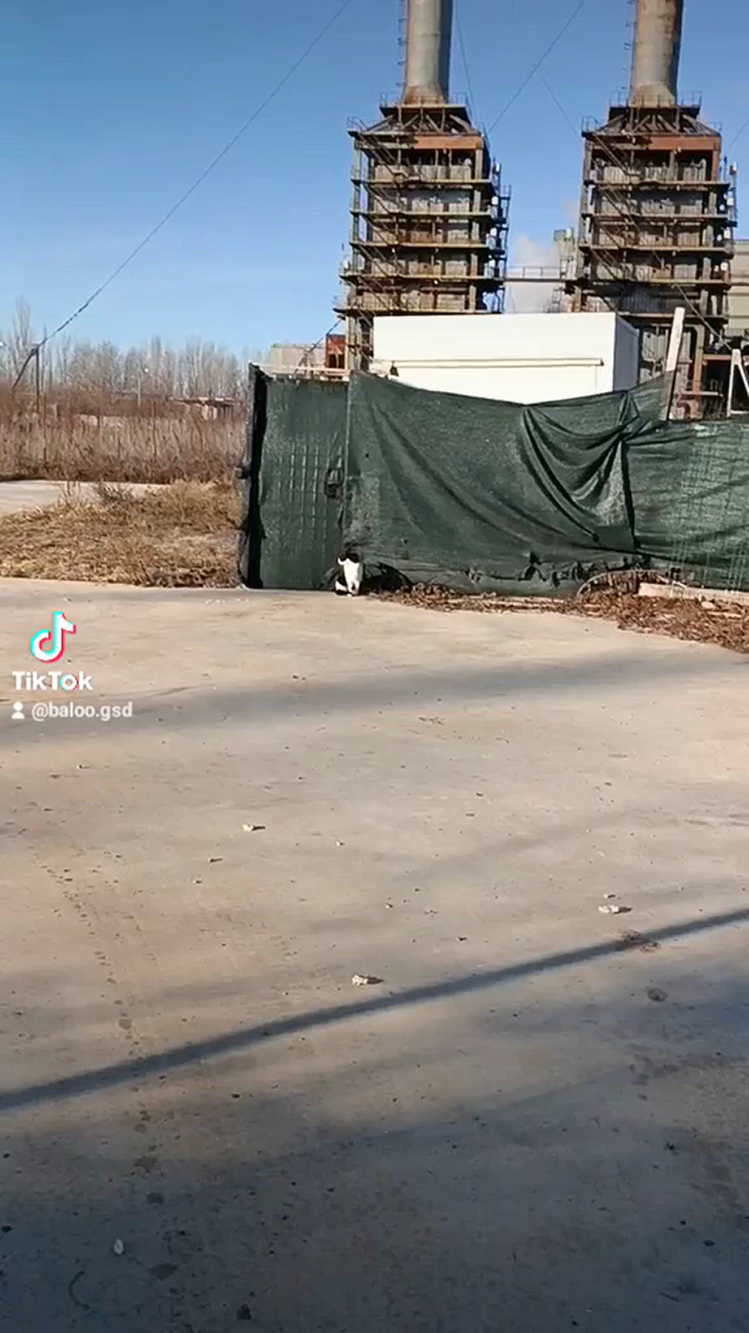 'Video thumbnail for Baloo-star.com'