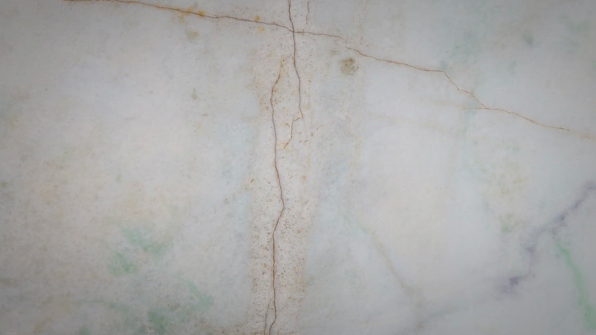 Video thumbnail for Myth or Fact: Do Rabbits Lay Eggs?