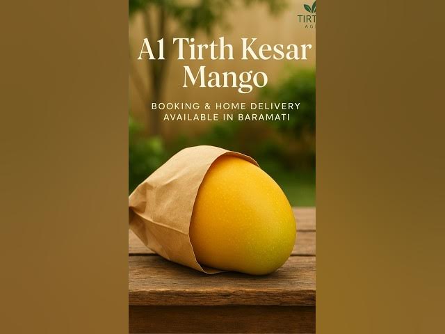 Video thumbnail for Tirth Kesar A1 Mango | Residue-Free | Bagging Method | Home Delivery in Baramati 🍋🥭 #baramati