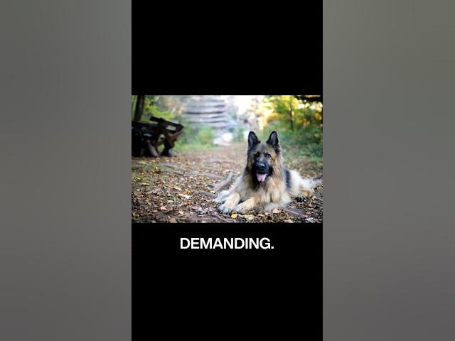 'Video thumbnail for 💌✌️'