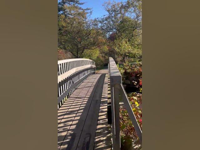 Video thumbnail for #fallinCanada#togodbethegloryalways