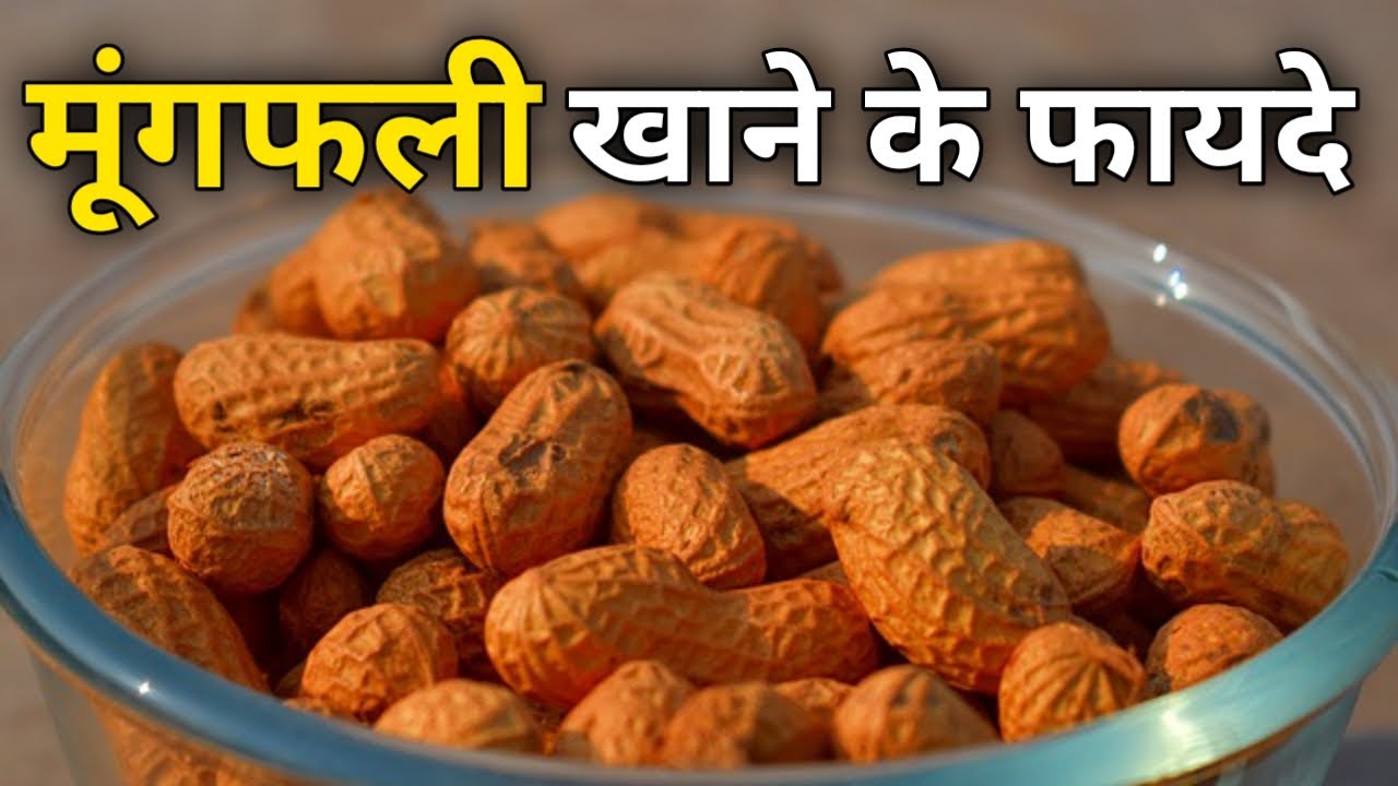 Video thumbnail for मूंगफली खाने के फायदे | मूंगफली खाने के फायदे बताओ | मूंगफली खाने से क्या होता है