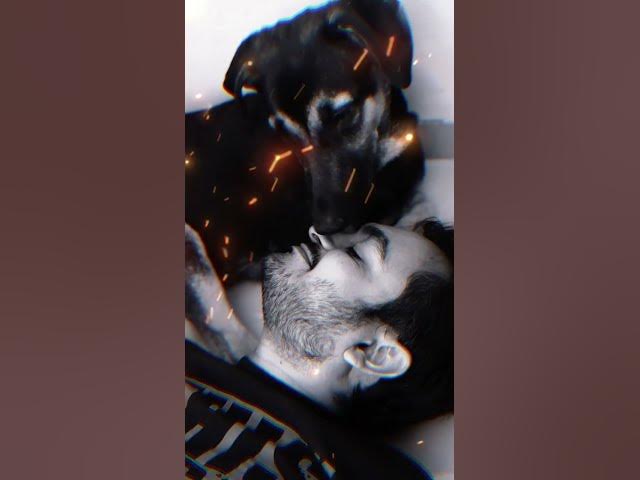 Video thumbnail for #petlover #dusky #pets