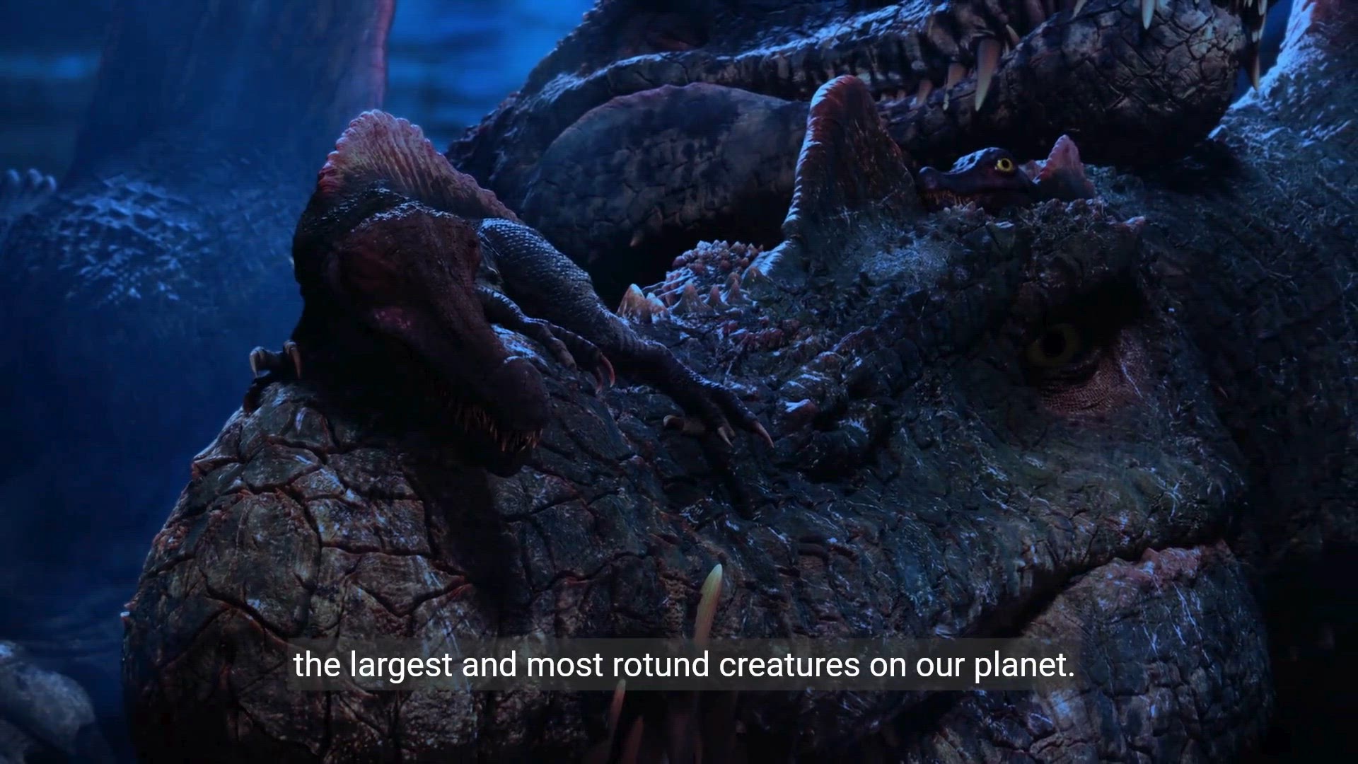 Video thumbnail for Top 10 Fattest Animals In The World