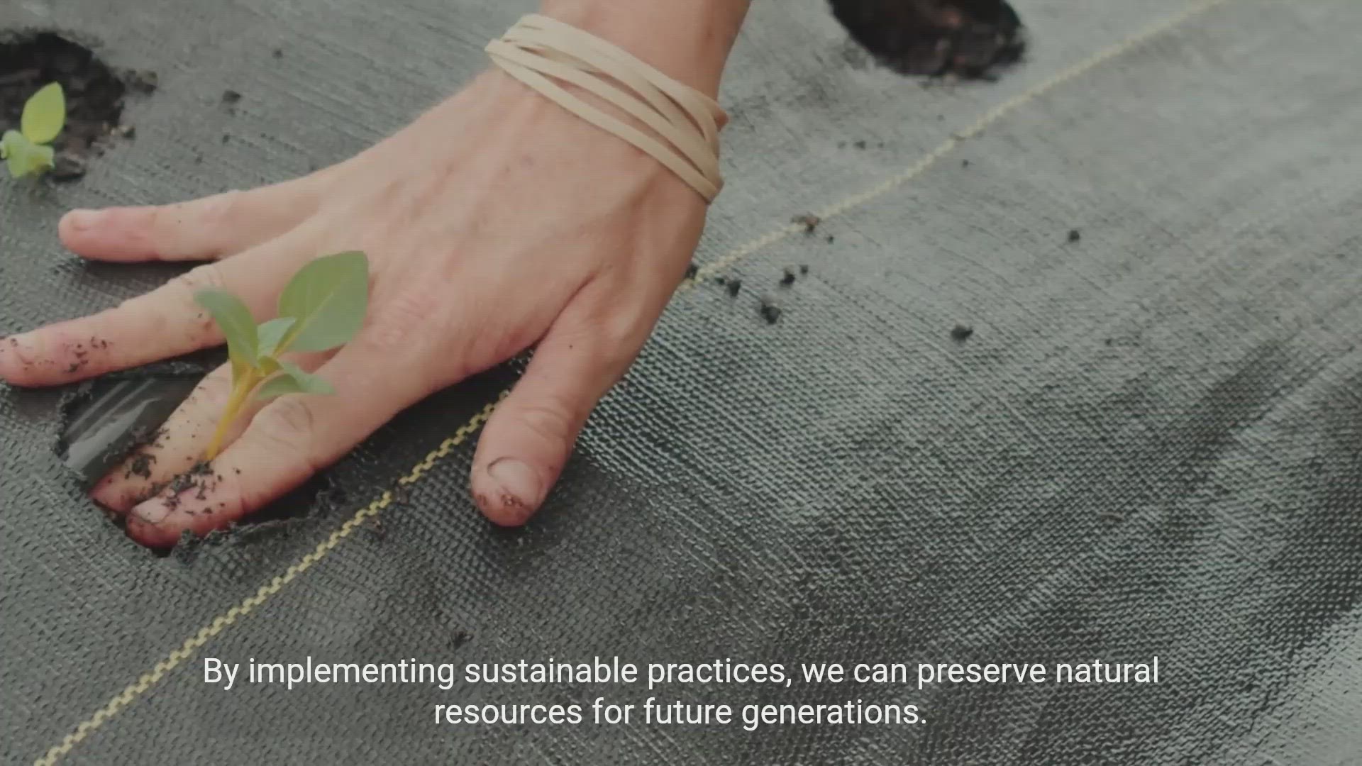 'Video thumbnail for Conservation Efforts and Practices'