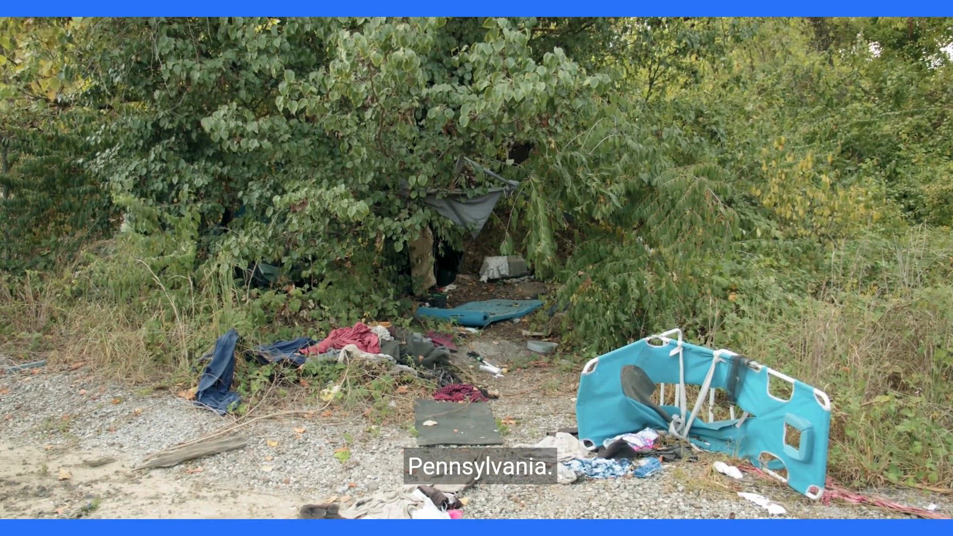 Video thumbnail for Heartwarming Stories from Animal Shelters in Pennsylvania