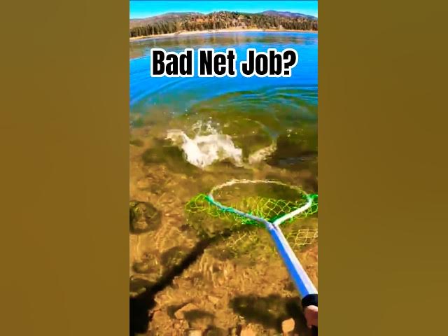 'Video thumbnail for Little Fighter on the Line | Get the Net!'