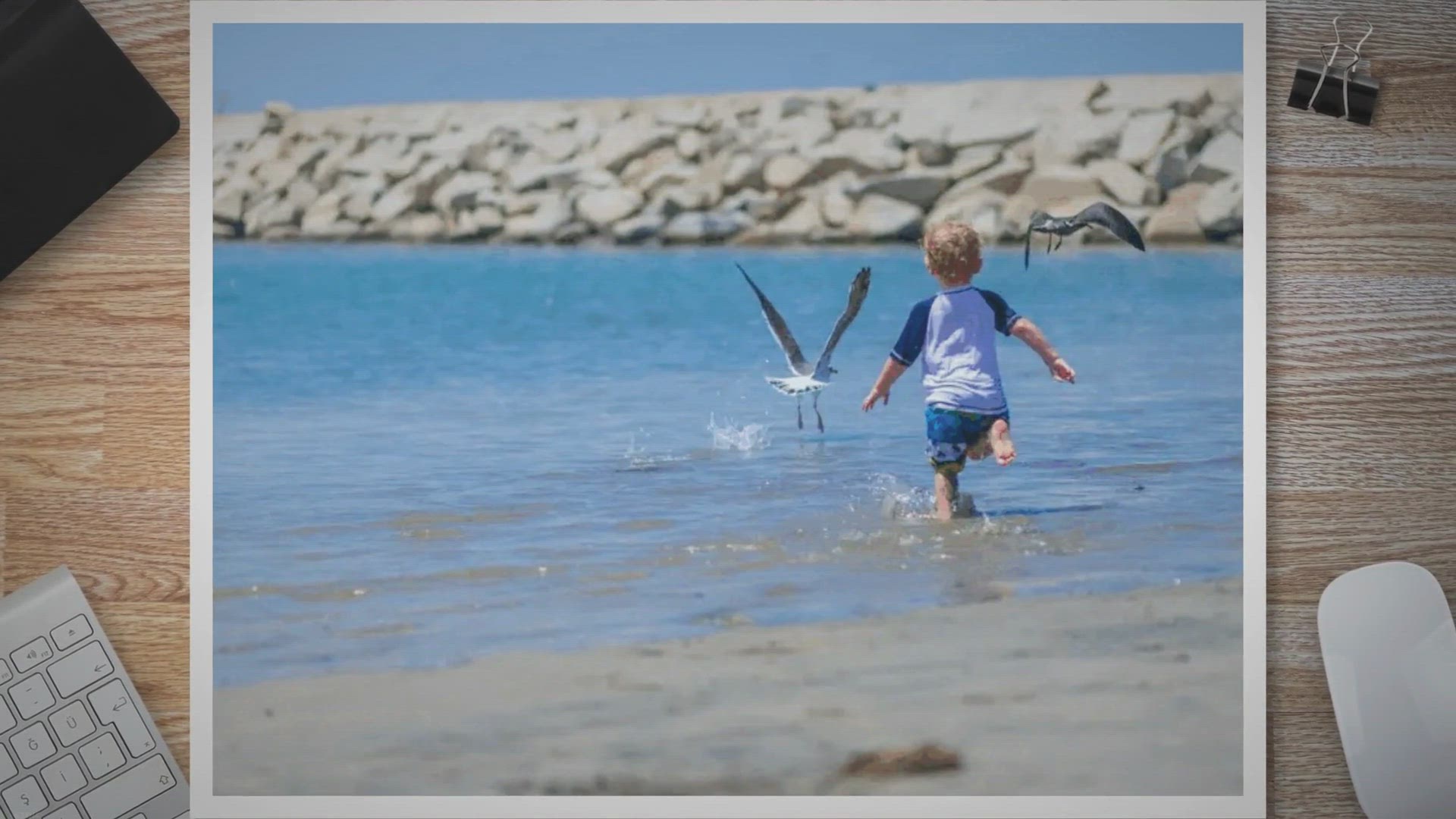 Video thumbnail for Training Your Pet Bird: Fun and Useful Tricks for Enrichment -