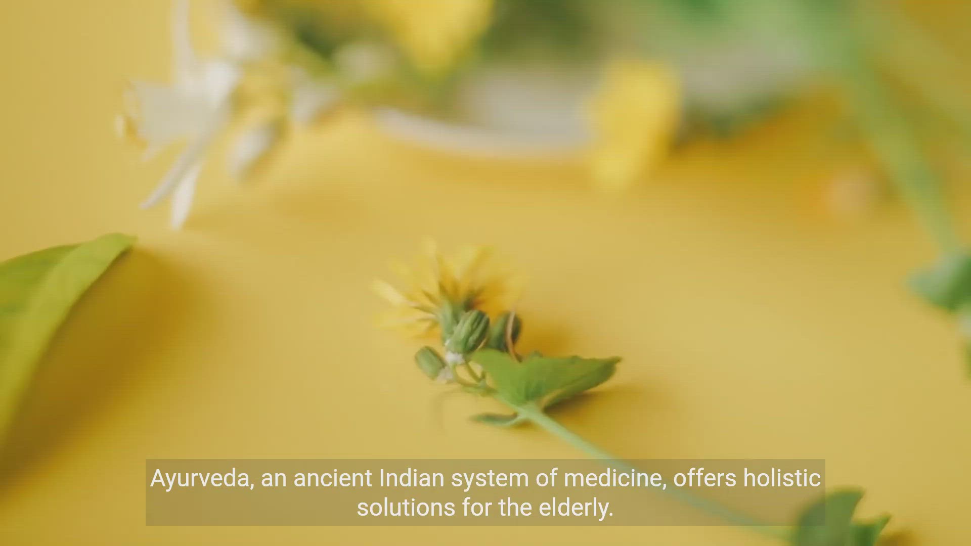 'Video thumbnail for Elderly Care by Ayurveda'