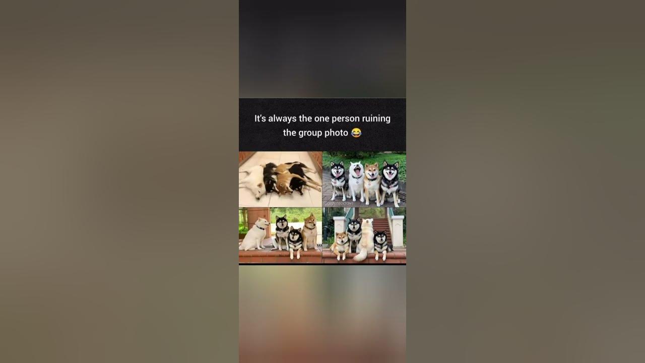'Video thumbnail for funny memes that will make you laugh #647 || legend memes ||  funny relatable memes 😂 #memes #shorts'