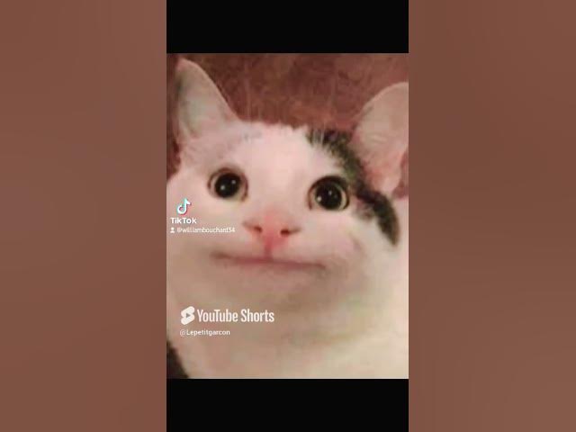 Video thumbnail for 23 mai 2025