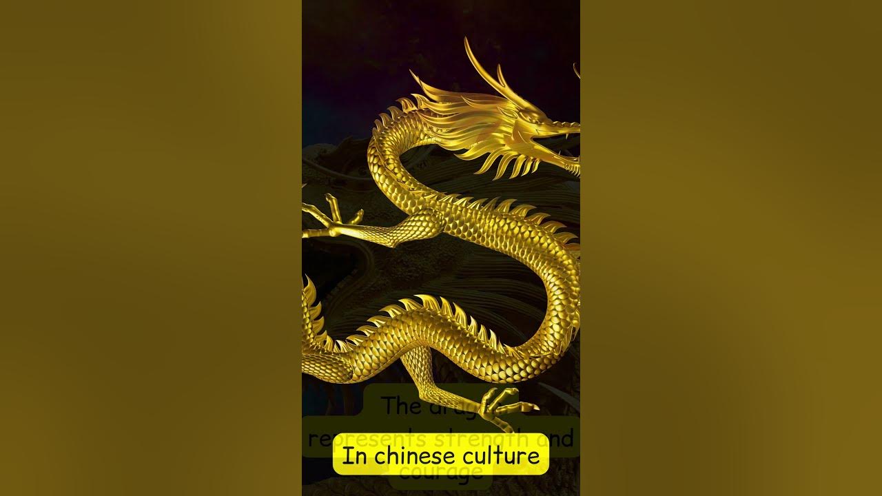 Video thumbnail for Dragon Symbol of Strength video blog