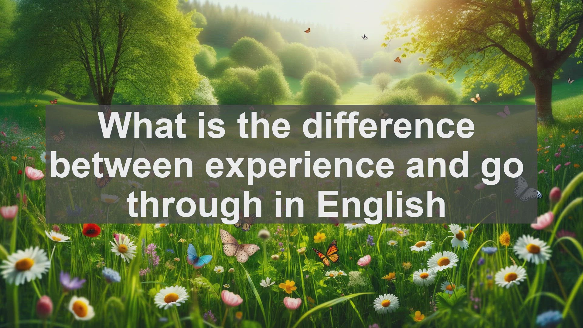 'Video thumbnail for What is the difference between experience and go through in English?'
