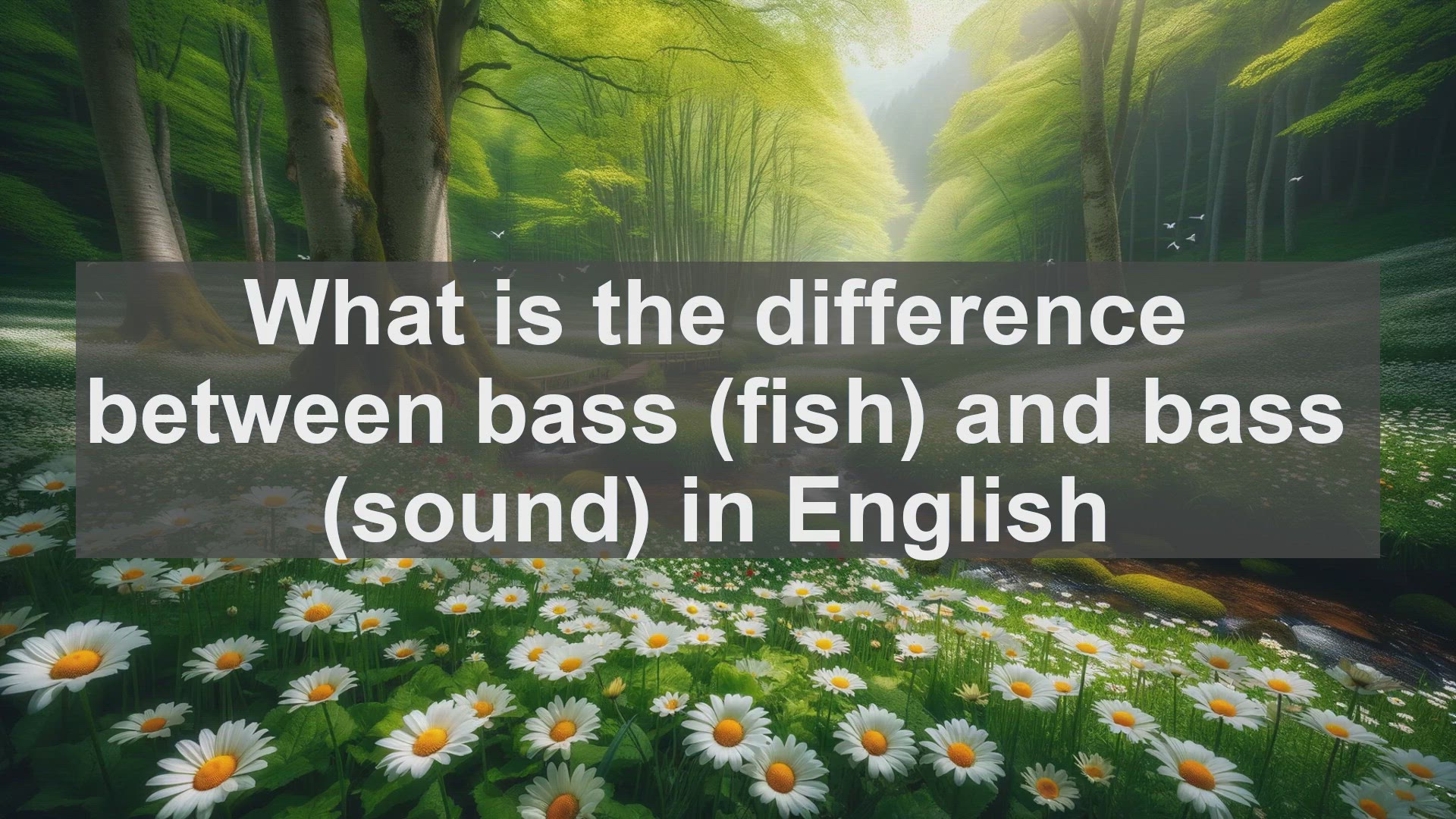 'Video thumbnail for What is the difference between bass fish and bass sound in English?'