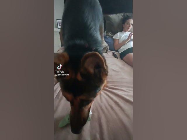 Video thumbnail for Gsd 101 2023 09 18 115834793